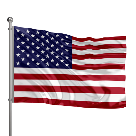 Immigration Policy Impact